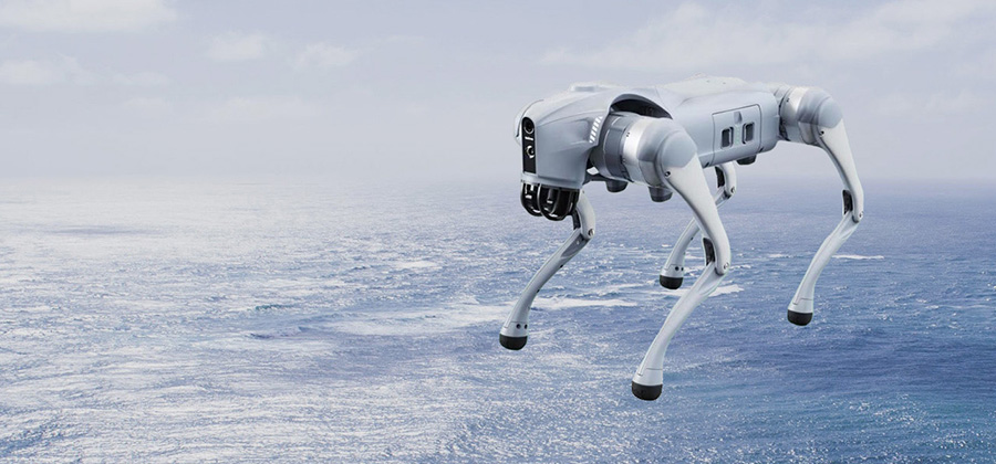 顶尖科研人才与前沿科研成果